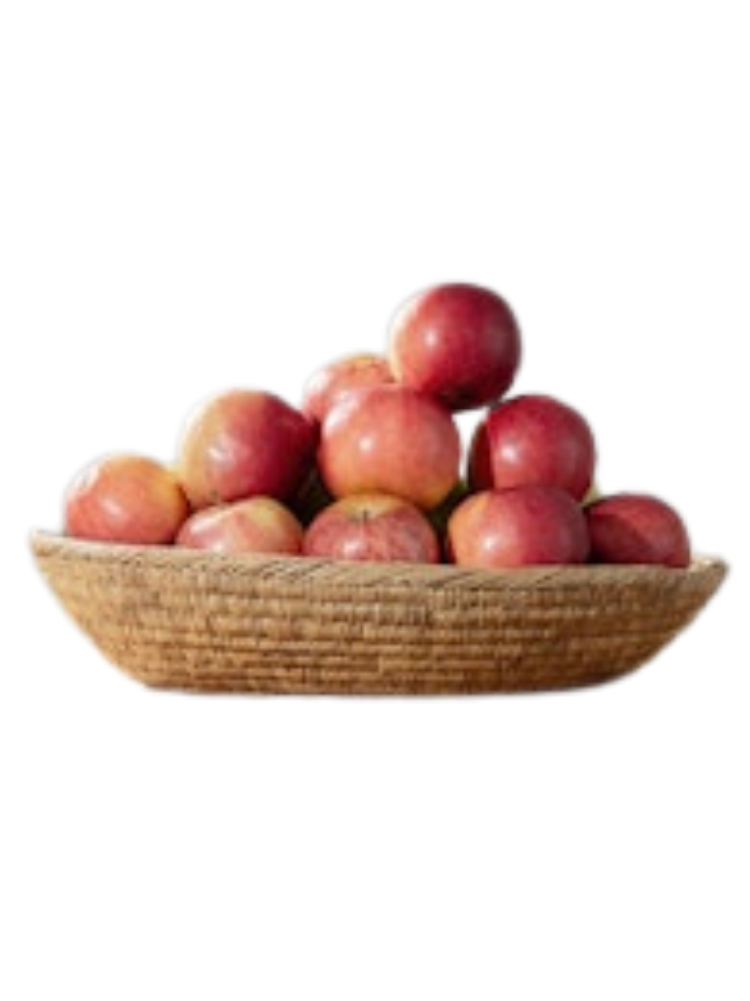 Woven Tray