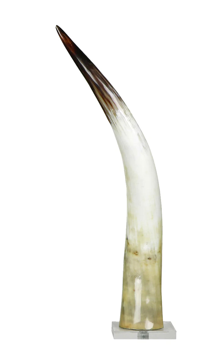 Black And White Horn
