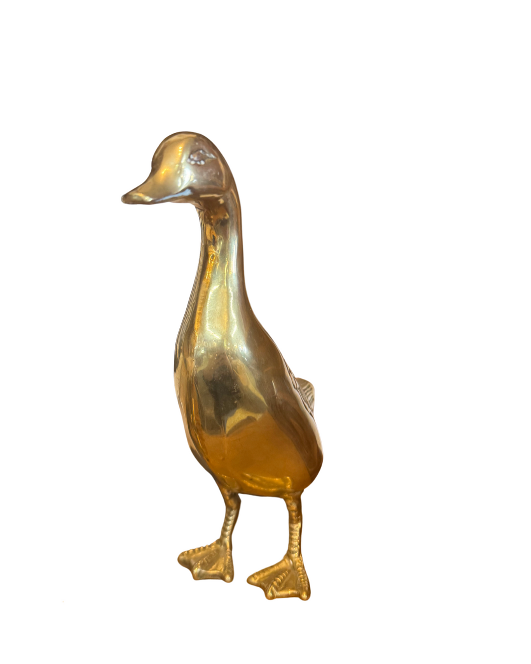Brass Duck