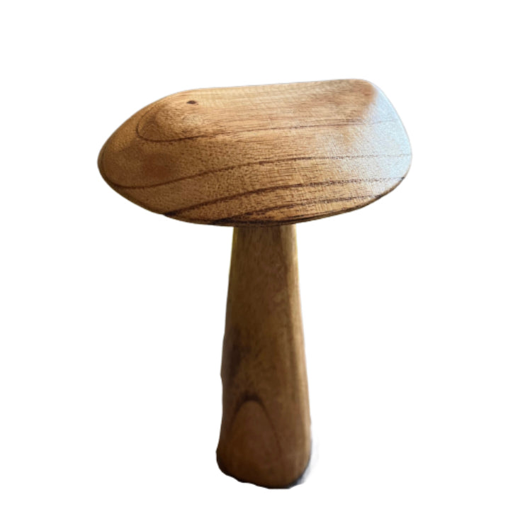 Small Wooden Mushroom
