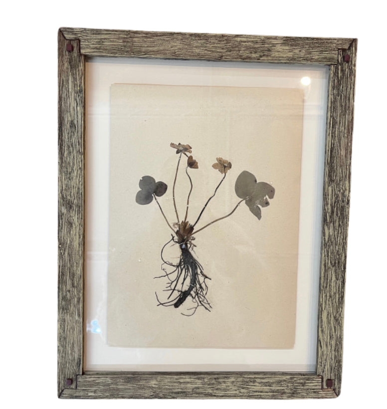 Framed Flower