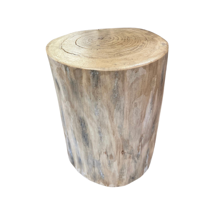 Small Bleached Stump