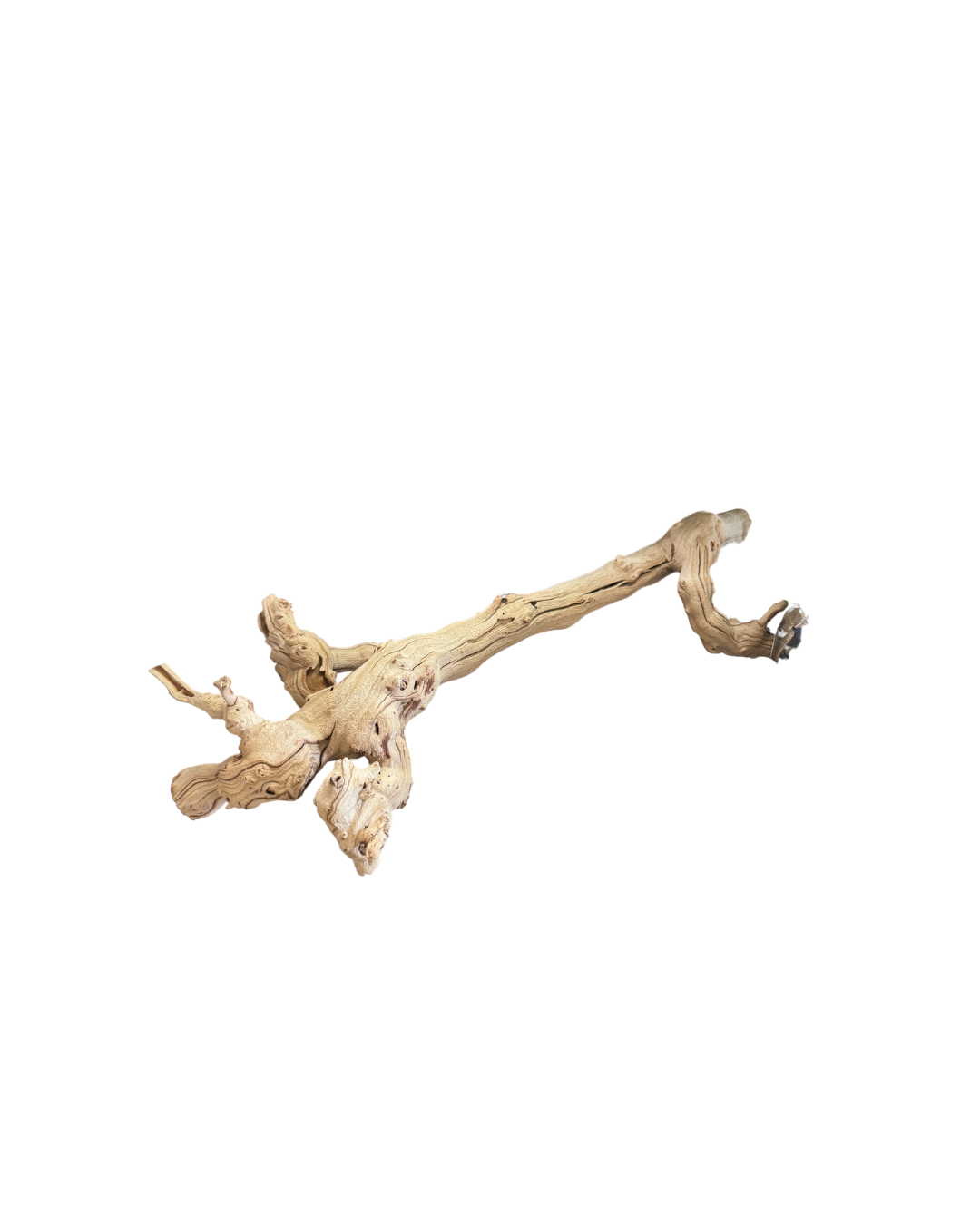 Grape Wood