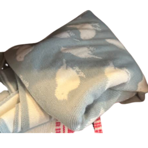Blue Bird Blanket