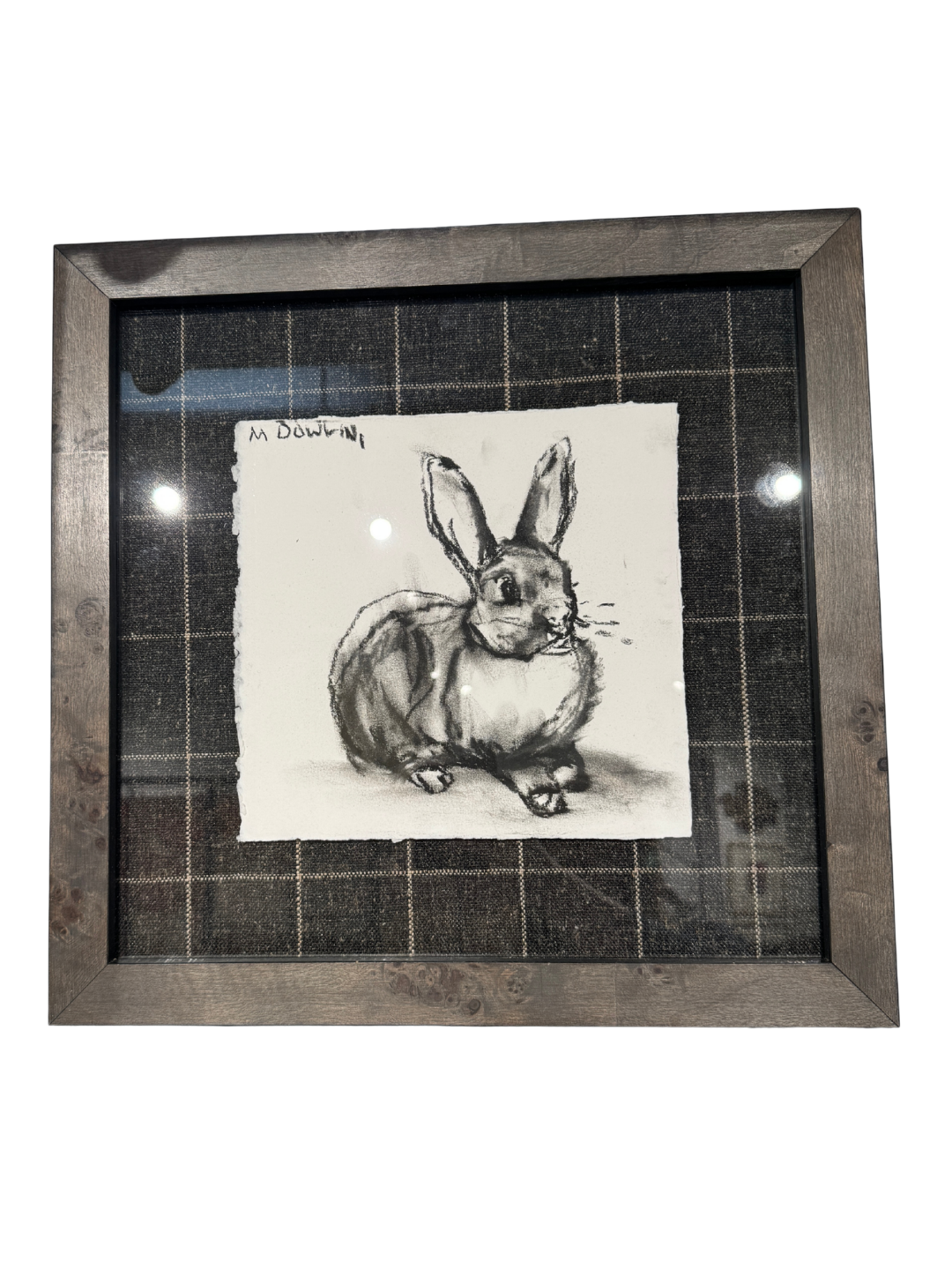 Michael Dowling Bunny