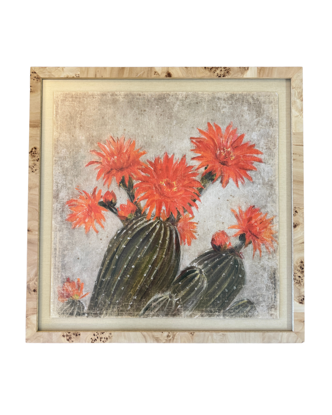 Cactus Framed in Burl Wood
