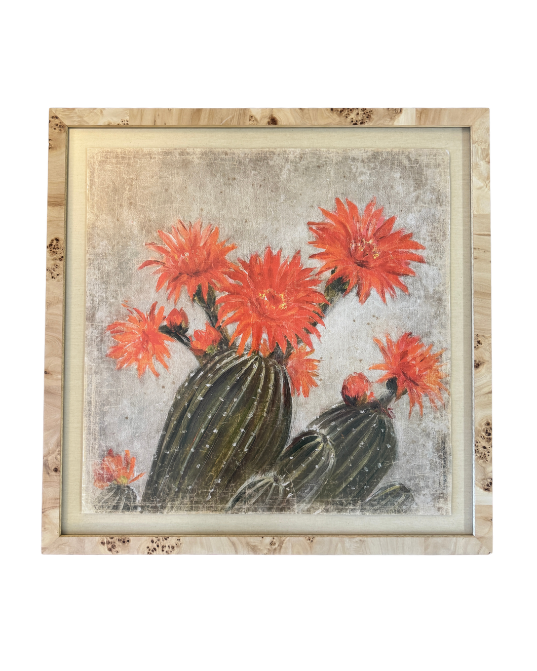 Cactus Framed in Burl Wood