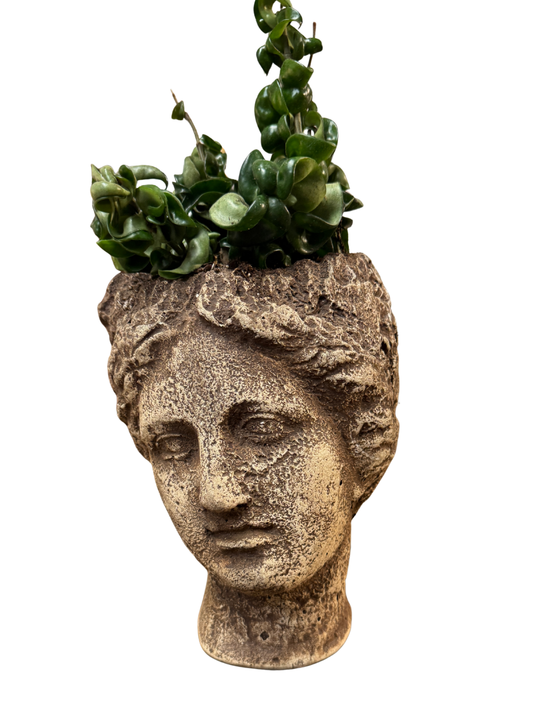 Claudia Plant and Planter