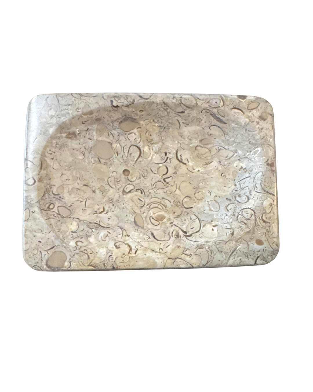 Fossil Stone Dish