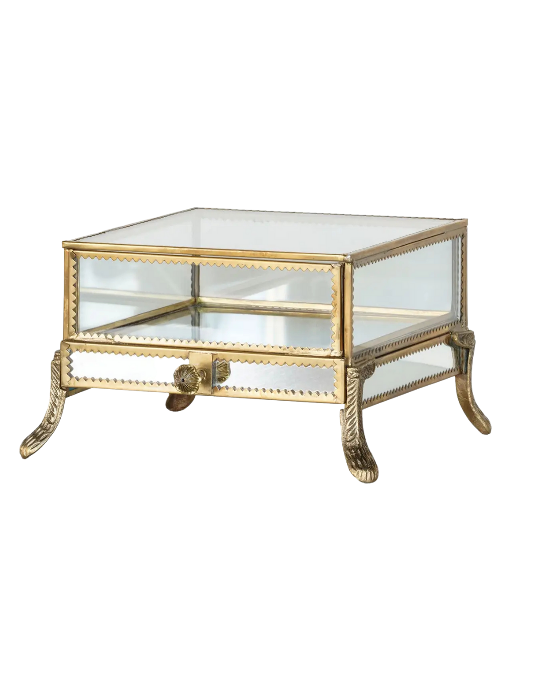 Glass Case with Drawer