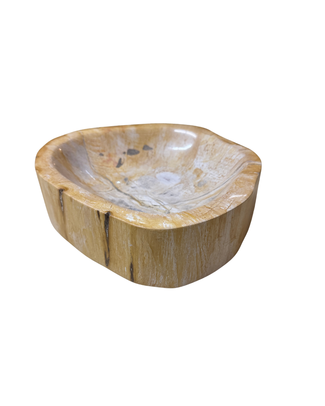 Petrified wood tray