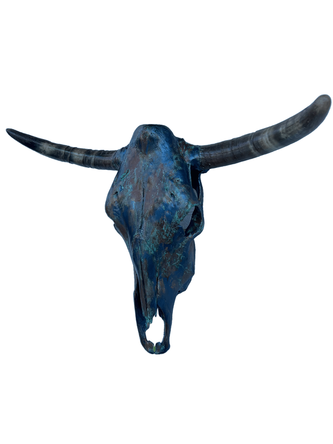 Rustic Bull Skull