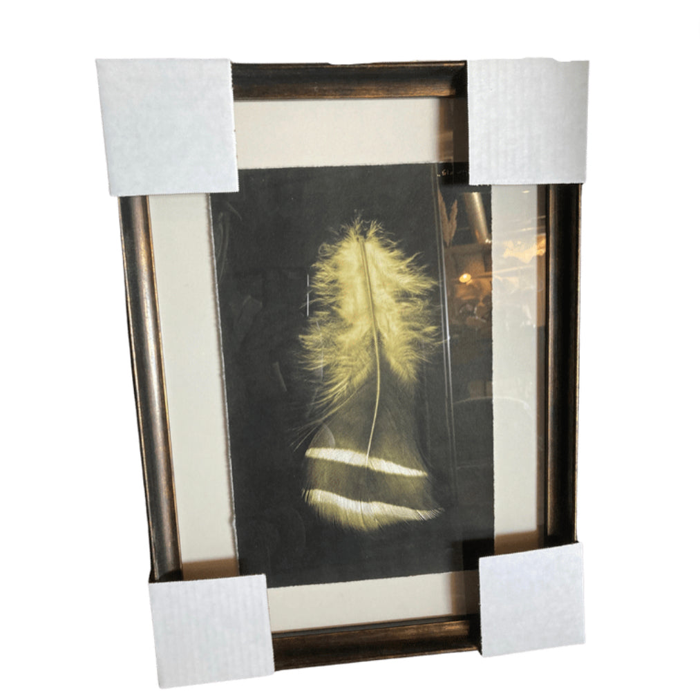 Feather framed art