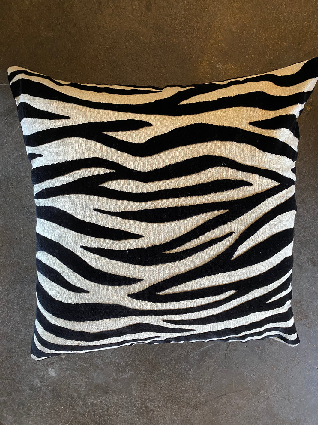 Zebra pillow 24x24