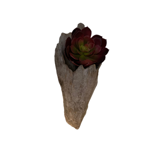 Driftwood Wall Planter