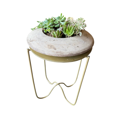 Saucer Planter With Succulents