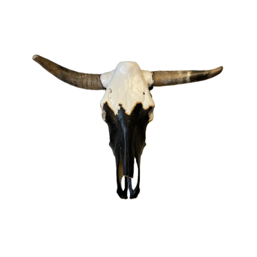 Painted Bull Skull