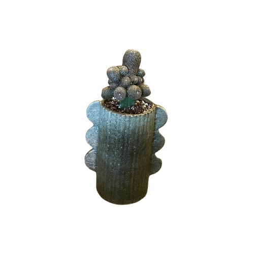 Potted Decorative Cactus