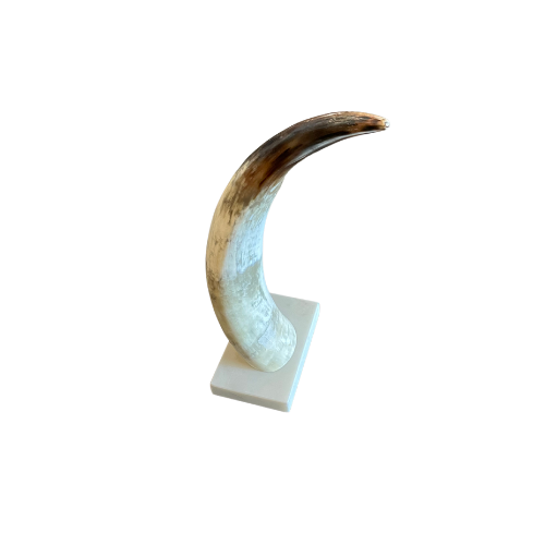 Mounted Horn