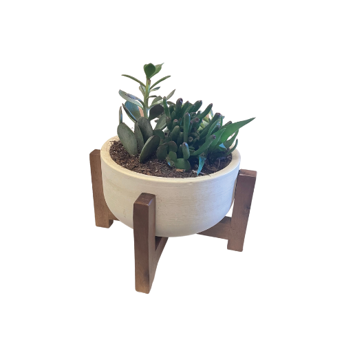 Wood Stand Planter
