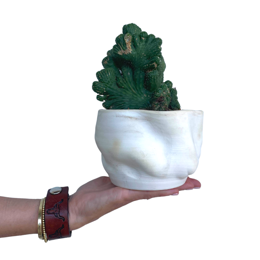 Plant in handmade ceramic “wobble” pot planter (ivory)
